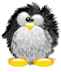 penguin pingouin pinguino 480
